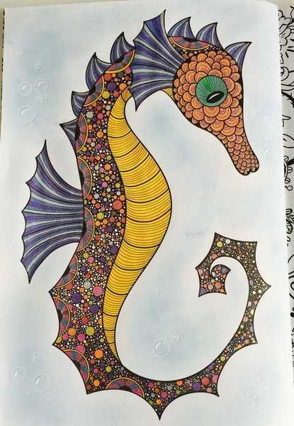 Seahorse with Blue Eyeshadow Background Seahorse with Blue Eyeshadow Background